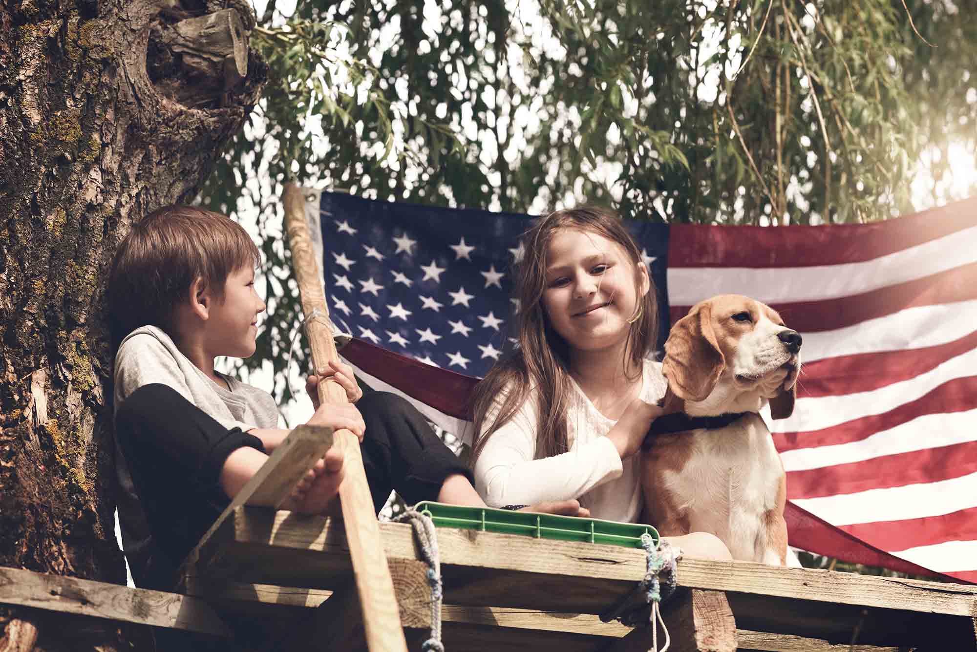 Fourth of July Pet Safety