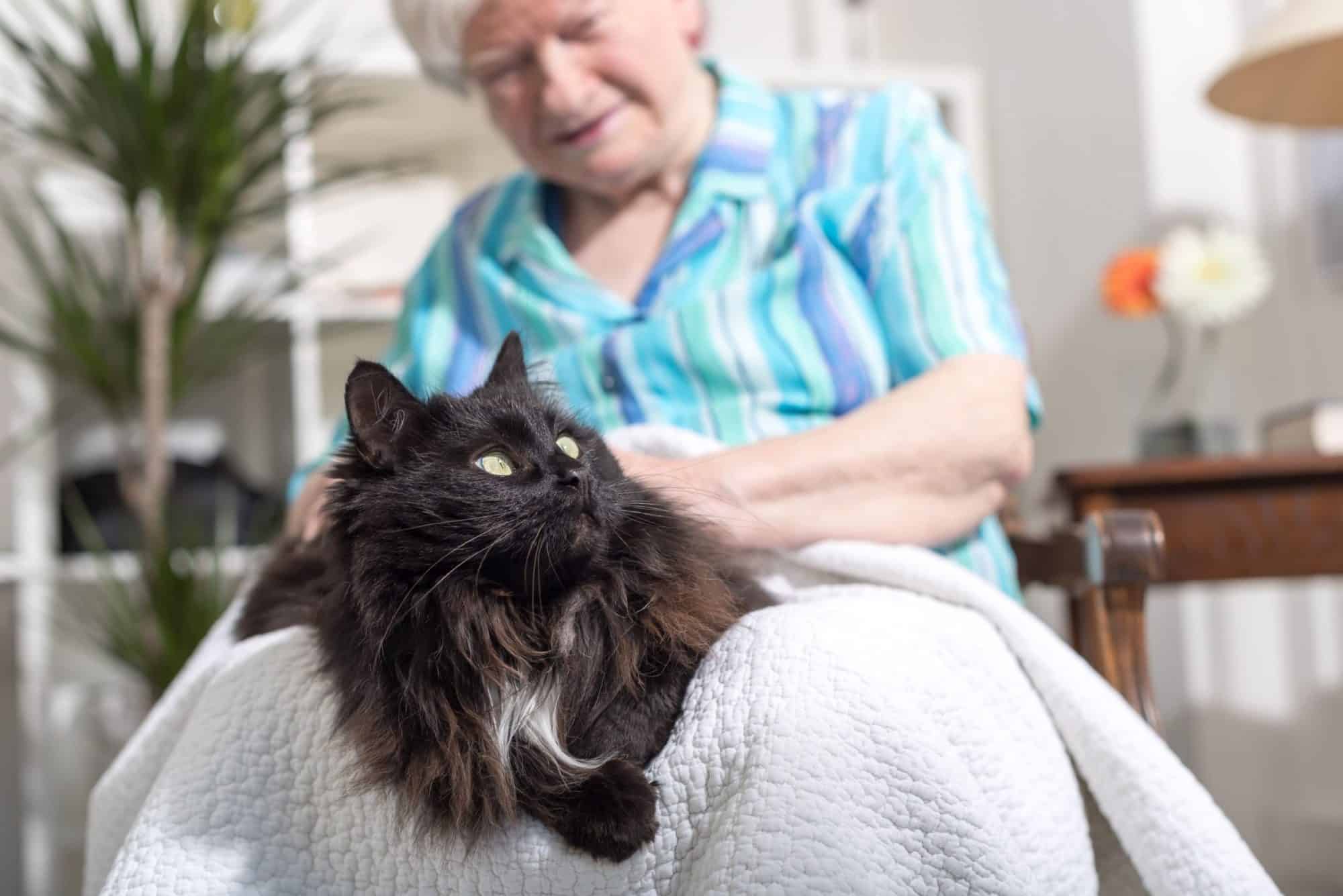 Golden Years: The Best Pets for Retirees