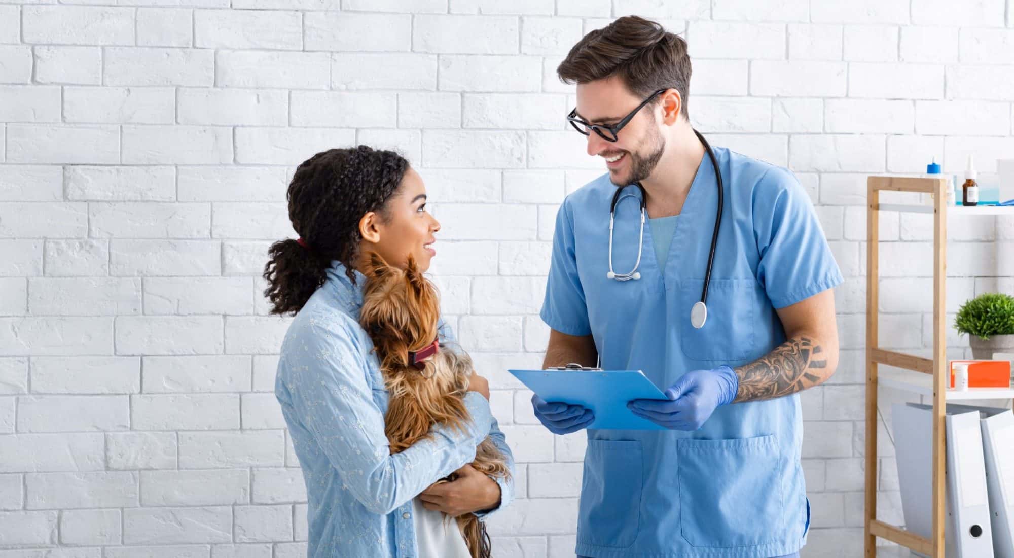 Maximizing Pet Care: Communicating with Your Veterinarian